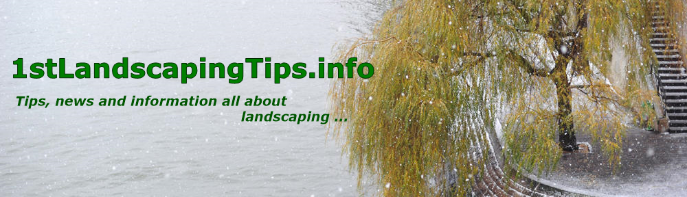 Landscaping Tips